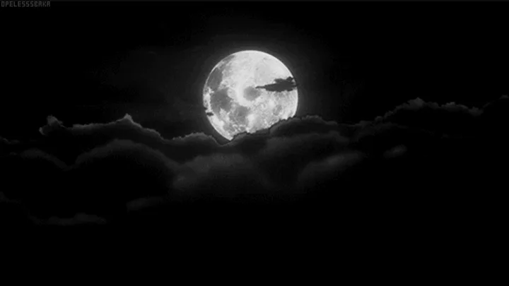 Stellar Firmament: Moonlit Sky