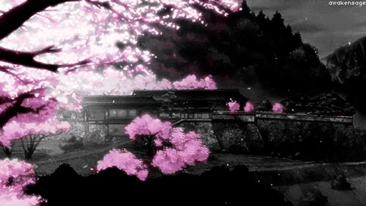 Shrine Sanctuary: Sakura Bridge