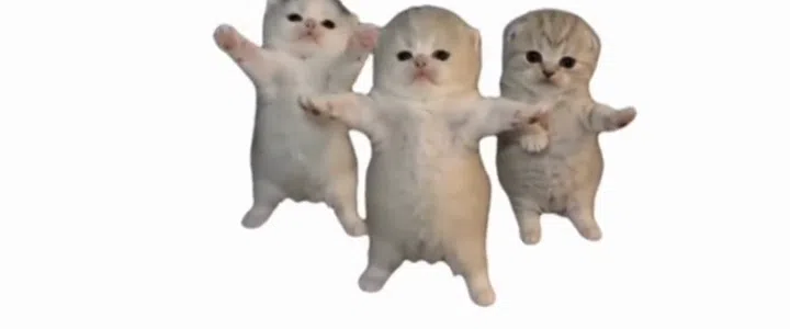 Meme Legends: T-Pose Dancing Kittens