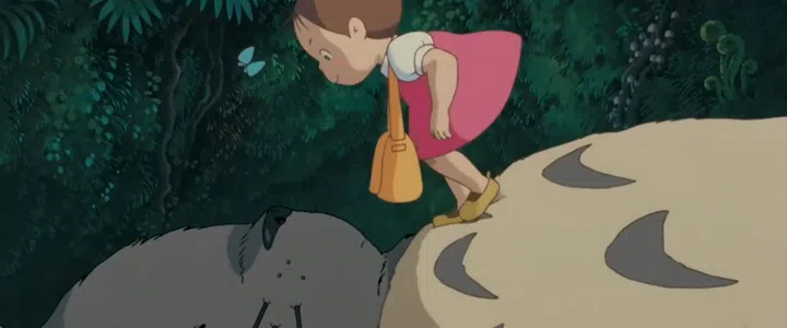 Ghibli Wonder: Totoro Camphor Forest Nap