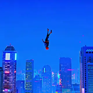 Spider-Verse: Brooklyn Sunset Leap of Faith Avatar